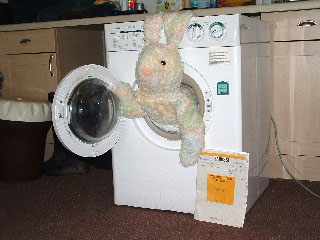 Big Bunny wash day